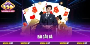 Bài Câu Cá - Hướng Dẫn Chi Tiết Cách Chơi Cho Người Mới
