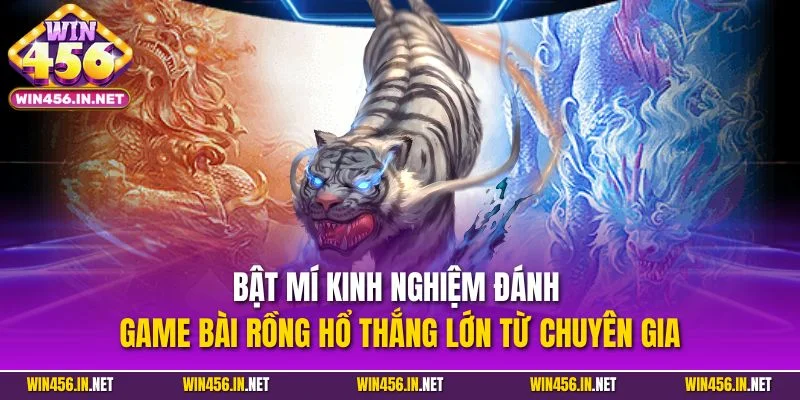Game Bài Rồng Hổ| Chinh Phục Siêu Phẩm Ăn Khách Nhất WIN456 4 Bật mí kinh nghiệm đánh game bài rồng hổ thắng lớn từ chuyên gia