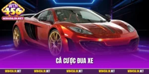 Cá Cược Đua Xe - Trải Nghiệm Giải Trí Tốc Độ Đỉnh Cao
