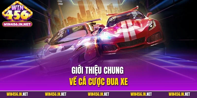 Cá Cược Đua Xe - Trải Nghiệm Giải Trí Tốc Độ Đỉnh Cao 2 Giới thiệu chung về cá cược đua xe