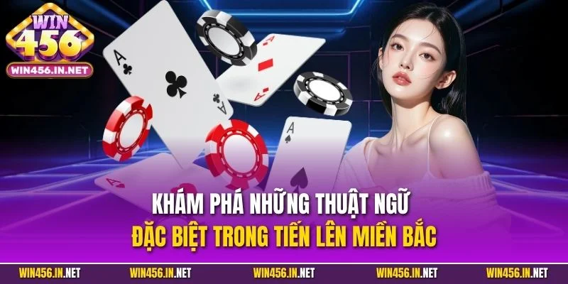 Khám phá những thuật ngữ đặc biệt trong tiến lên miền Bắc