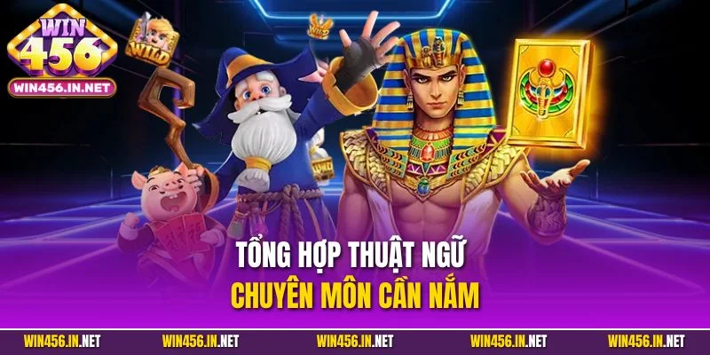 Slot Game Win456 - Chinh Phục Jackpot Tiền Tỷ Mỗi Ngày 3 Tổng hợp thuật ngữ chuyên môn cần nắm
