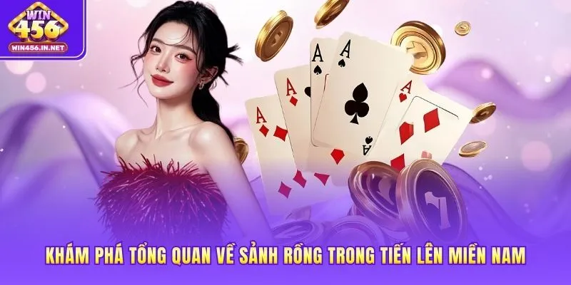 Khám phá tổng quan về sảnh rồng trong Tiến Lên Miền Nam