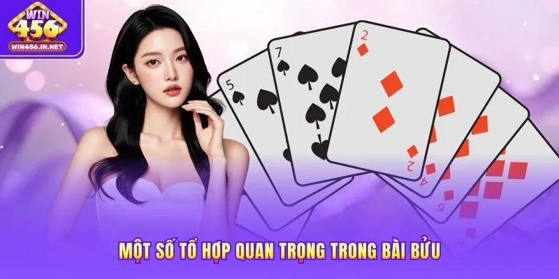 Một số tổ hợp quan trọng trong bài Bửu